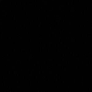 Meet your Posher, Isabelle